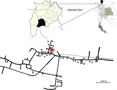 Blastocystis One Health Approach in a Rural Community of Northern Thailand: Prevalence, Subtypes and Novel Transmission Routes